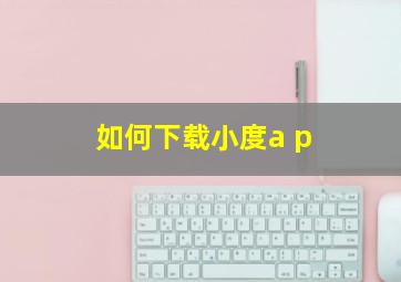 如何下载小度a p